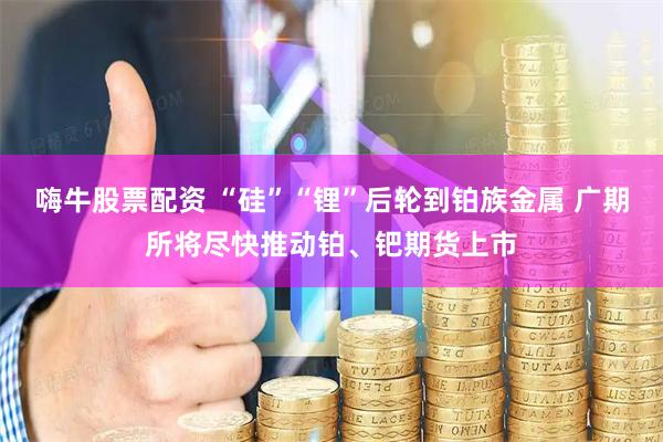 嗨牛股票配资 “硅”“锂”后轮到铂族金属 广期所将尽快推动铂、钯期货上市