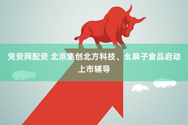 凭资网配资 北京集创北方科技、幺麻子食品启动上市辅导