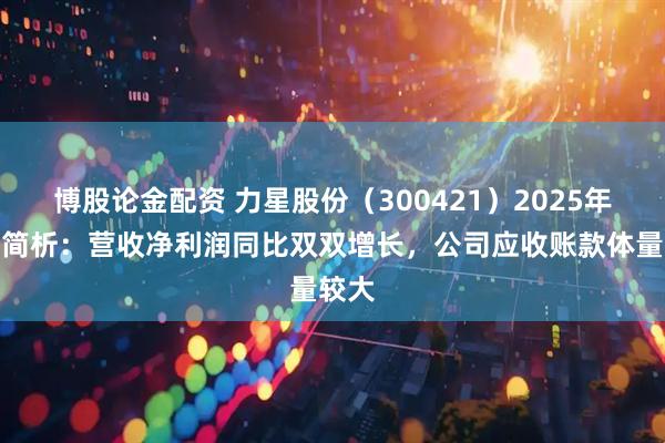 博股论金配资 力星股份（300421）2025年中报简析：营收净利润同比双双增长，公司应收账款体量较大