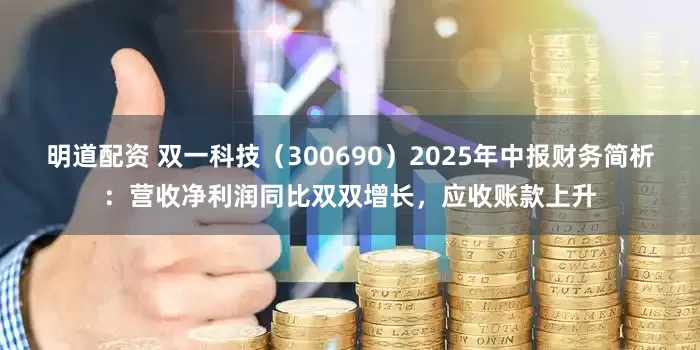 明道配资 双一科技（300690）2025年中报财务简析：营收净利润同比双双增长，应收账款上升