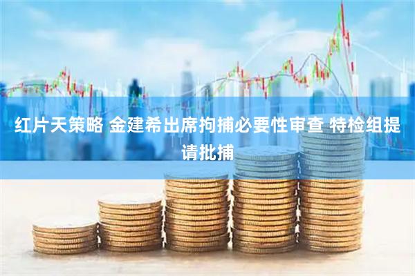 红片天策略 金建希出席拘捕必要性审查 特检组提请批捕