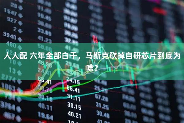 人人配 六年全部白干，马斯克砍掉自研芯片到底为啥？