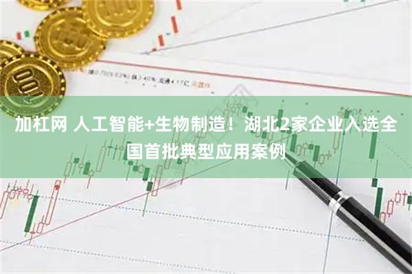 加杠网 人工智能+生物制造！湖北2家企业入选全国首批典型应用案例