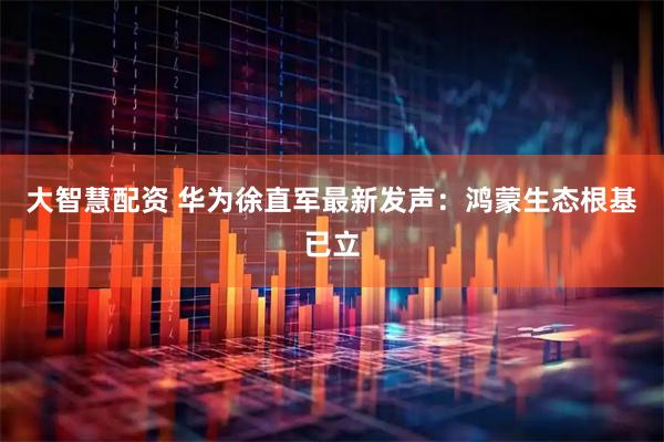 大智慧配资 华为徐直军最新发声：鸿蒙生态根基已立