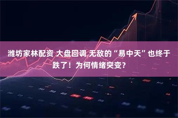潍坊家林配资 大盘回调 无敌的“易中天”也终于跌了！为何情绪突变？