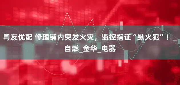 粤友优配 修理铺内突发火灾，监控指证“纵火犯”！_自燃_金华_电器